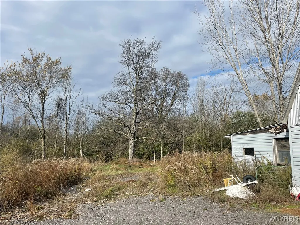 6721 Aiken Road, Pendleton, New York 14094, Pendleton, New York 14094, 4 Bedroom Bedrooms, ,2 BathroomBathrooms,Land,For Sale,6721 Aiken Road, Pendleton, New York 14094,0,B1648648
