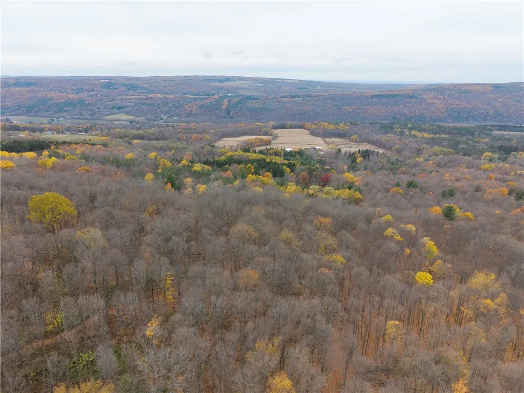 7753 Canadice Road, Springwater, New York 14560, Springwater, New York 14560, 3 Bedrooms Bedrooms, 6 Rooms Rooms,1 BathroomBathrooms,Land,For Sale,7753 Canadice Road, Springwater, New York 14560,0,R1649026