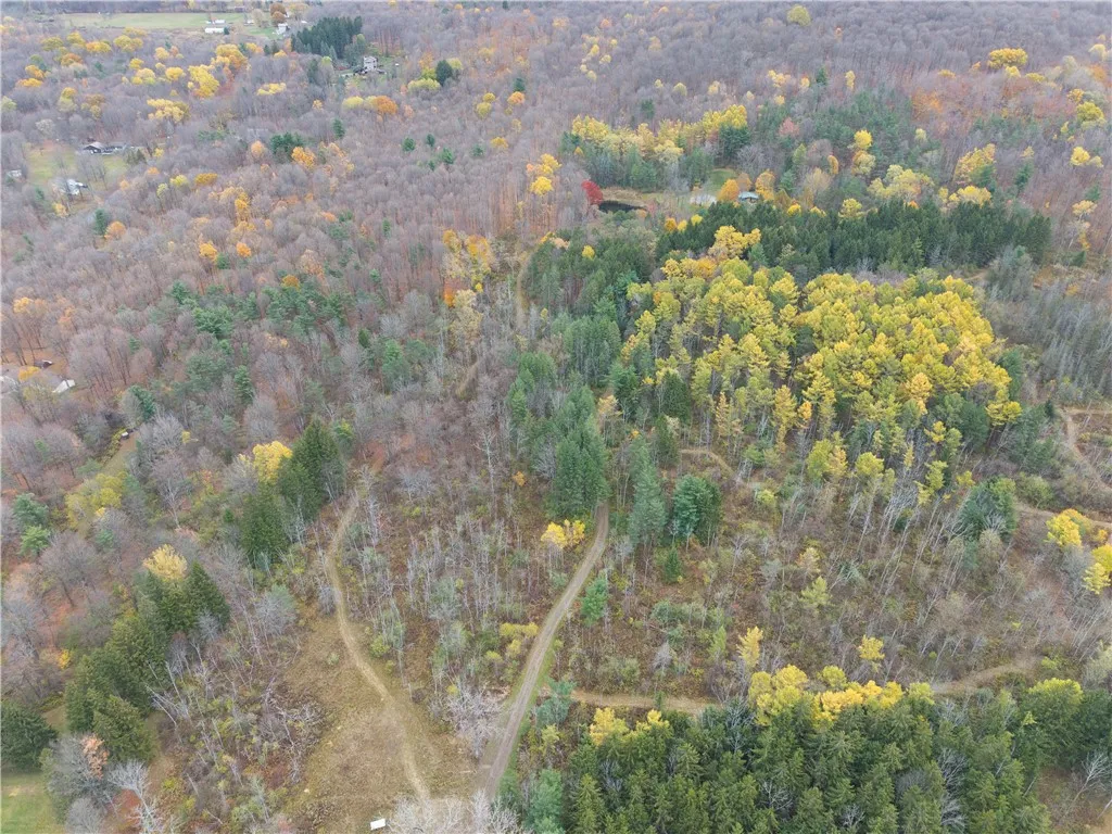 7753 Canadice Road, Springwater, New York 14560, Springwater, New York 14560, 3 Bedrooms Bedrooms, 6 Rooms Rooms,1 BathroomBathrooms,Land,For Sale,7753 Canadice Road, Springwater, New York 14560,0,R1649026