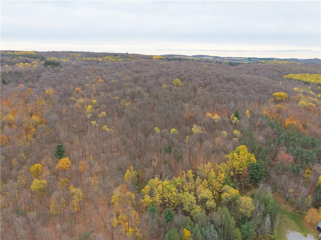7753 Canadice Road, Springwater, New York 14560, Springwater, New York 14560, 3 Bedrooms Bedrooms, 6 Rooms Rooms,1 BathroomBathrooms,Land,For Sale,7753 Canadice Road, Springwater, New York 14560,0,R1649026