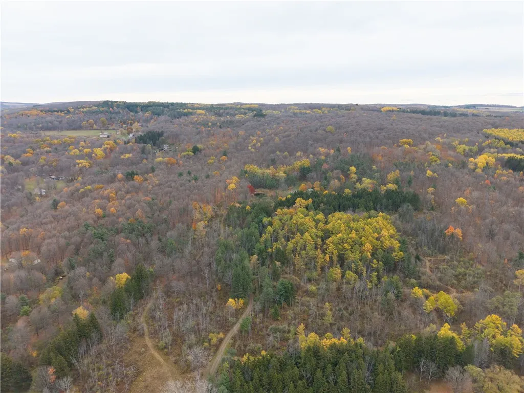 7753 Canadice Road, Springwater, New York 14560, Springwater, New York 14560, 3 Bedrooms Bedrooms, 6 Rooms Rooms,1 BathroomBathrooms,Land,For Sale,7753 Canadice Road, Springwater, New York 14560,0,R1649026