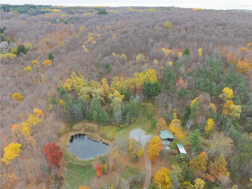 7753 Canadice Road, Springwater, New York 14560, Springwater, New York 14560, 3 Bedrooms Bedrooms, 6 Rooms Rooms,1 BathroomBathrooms,Land,For Sale,7753 Canadice Road, Springwater, New York 14560,0,R1649026