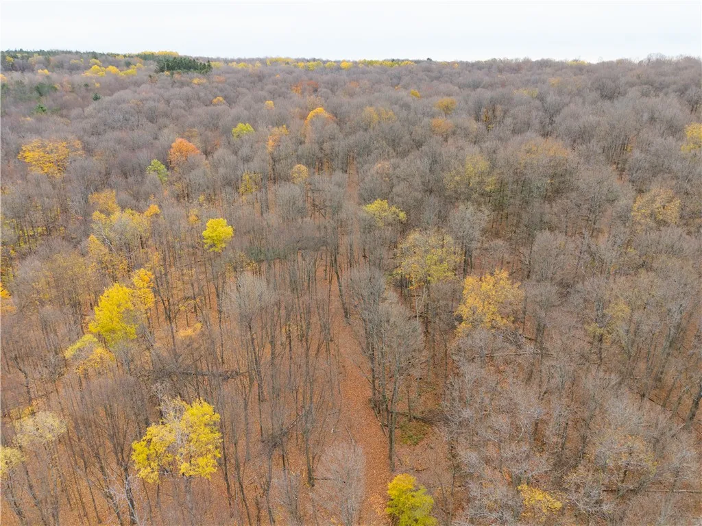 7753 Canadice Road, Springwater, New York 14560, Springwater, New York 14560, 3 Bedrooms Bedrooms, 6 Rooms Rooms,1 BathroomBathrooms,Land,For Sale,7753 Canadice Road, Springwater, New York 14560,0,R1649026