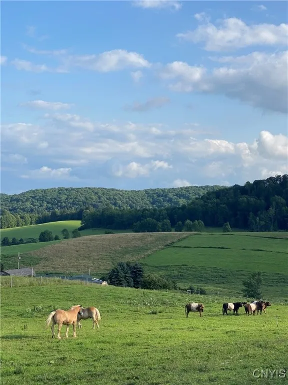 367 Filburn Road, Richfield, New York 13439, Richfield, New York 13439, 3 Bedrooms Bedrooms, 8 Rooms Rooms,2 BathroomsBathrooms,Residential,For Sale,367 Filburn Road, Richfield, New York 13439,0,S1649010