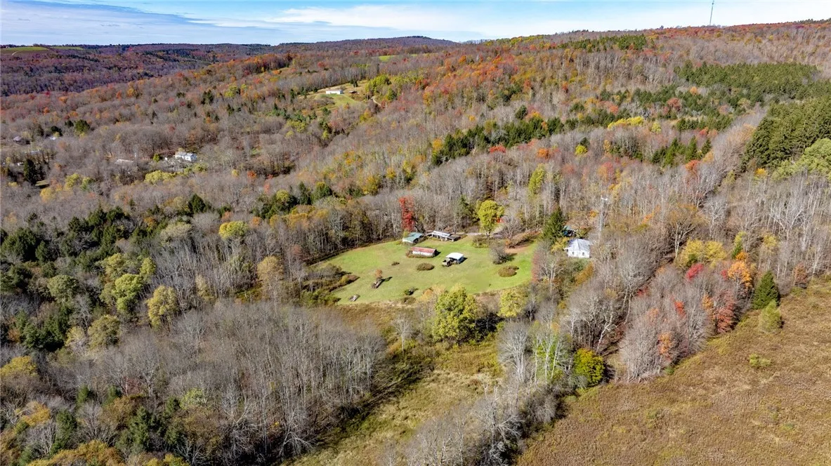 294 Will Warner Road, Otselic, New York 13155, Otselic, New York 13155, ,Land,For Sale,294 Will Warner Road, Otselic, New York 13155,0,R1648686