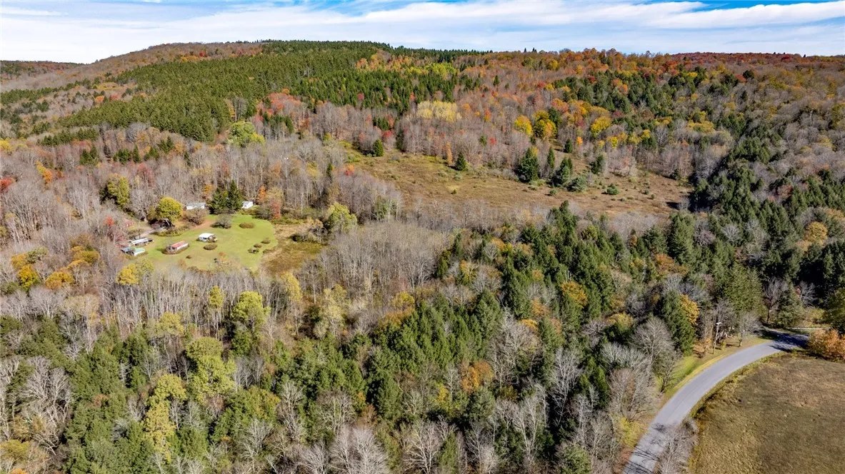 294 Will Warner Road, Otselic, New York 13155, Otselic, New York 13155, ,Land,For Sale,294 Will Warner Road, Otselic, New York 13155,0,R1648686
