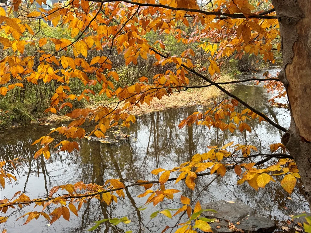 Four Mile Creek isn’t just a scenic trail—it’s part of the region’s “water-way network.” The stream is recognized by the DEC as a tributary of Lake Ontario that supports migratory steelhead trout, making it a hidden bonus for outdoors lovers.