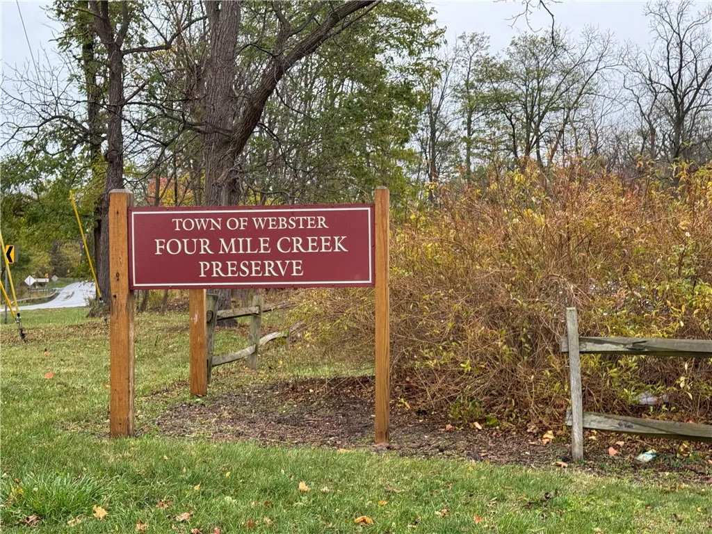 Walk just across Lake Road to the tree-lined trail of the Preserve, where the creek winds through forest and wetlands, and consider this: the same waters that carry views and quiet runs also carry fish on their seasonal journey