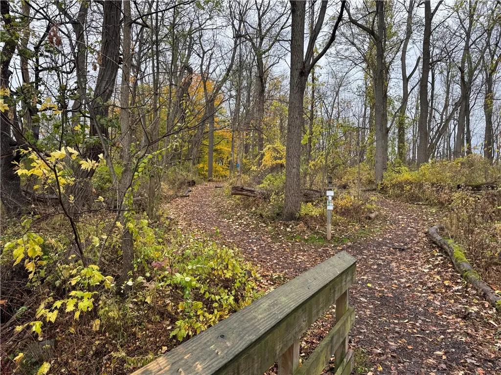 For buyers who want water-lifestyle beyond the lake, this creek adds depth, nature, and a quiet corner of perspective