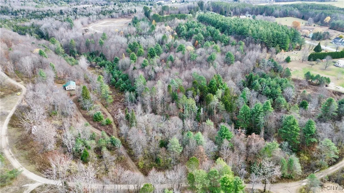 Rt-29, Salisbury, New York 13329, Salisbury, New York 13329, ,Land,For Sale,Rt-29, Salisbury, New York 13329,0,S1649112