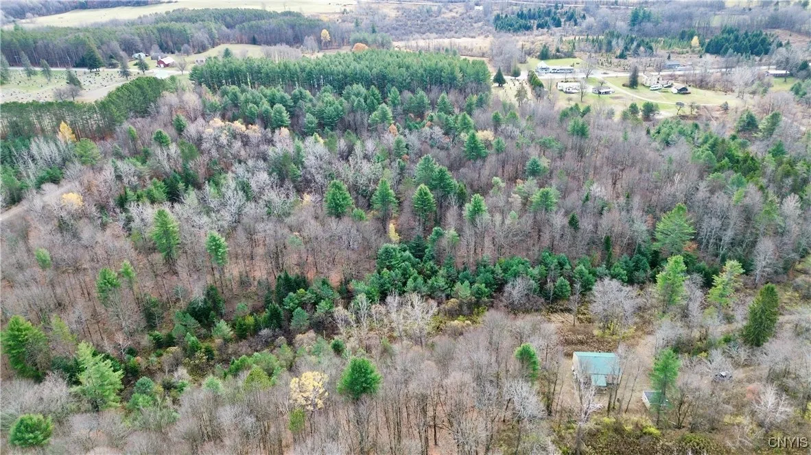 Rt-29, Salisbury, New York 13329, Salisbury, New York 13329, ,Land,For Sale,Rt-29, Salisbury, New York 13329,0,S1649112