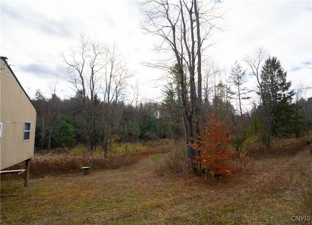 Rt-29, Salisbury, New York 13329, Salisbury, New York 13329, ,Land,For Sale,Rt-29, Salisbury, New York 13329,0,S1649112