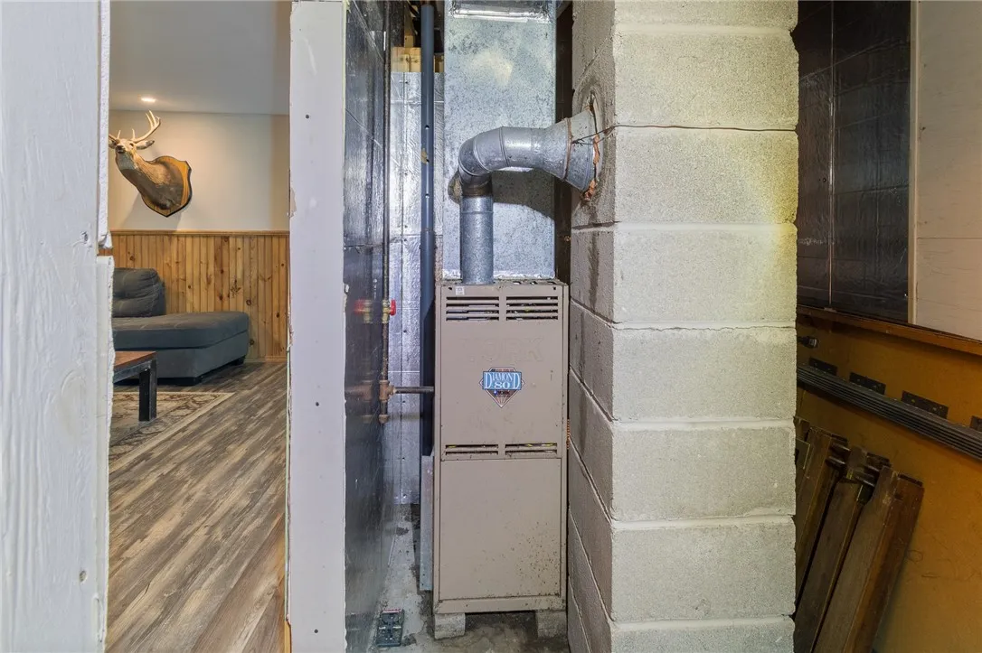 The FURNACE in the lower level