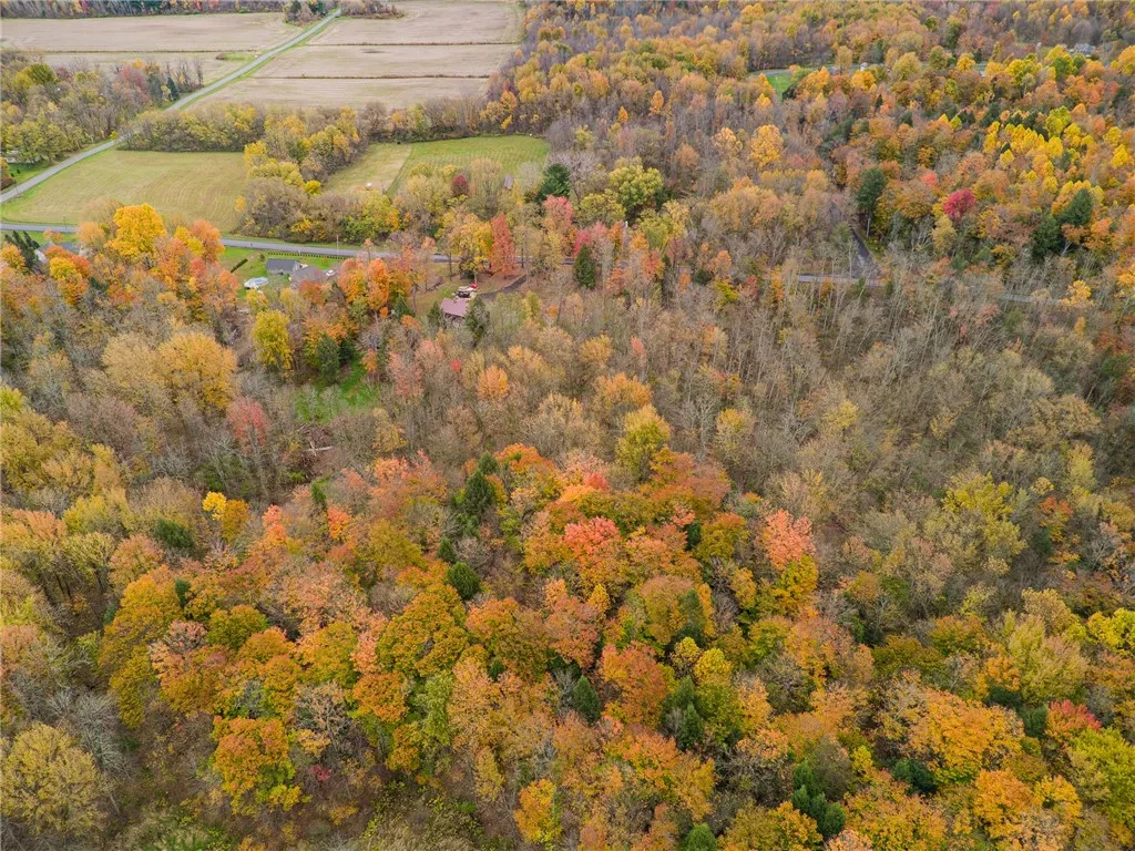SO MANY TREES! You can hunt YOUR OWN LAND!