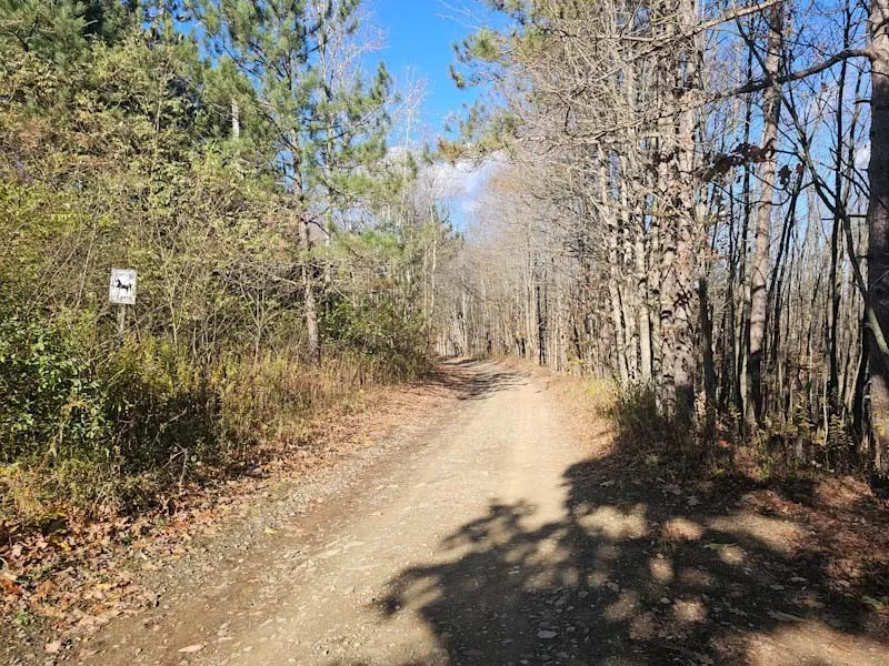 0 Thunder Mountain East, Springwater, New York 145, Springwater, New York 14560, ,Land,For Sale,0 Thunder Mountain East, Springwater, New York 145,0,R1648452