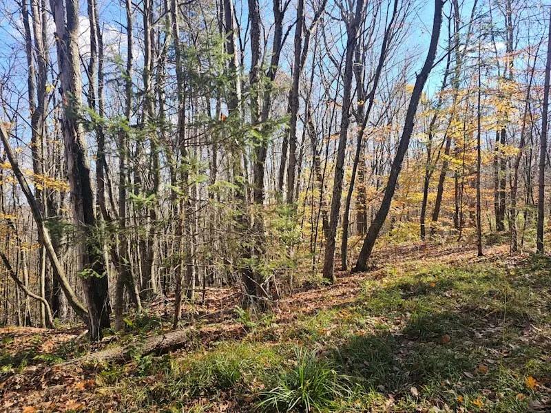 0 Thunder Mountain East, Springwater, New York 145, Springwater, New York 14560, ,Land,For Sale,0 Thunder Mountain East, Springwater, New York 145,0,R1648452