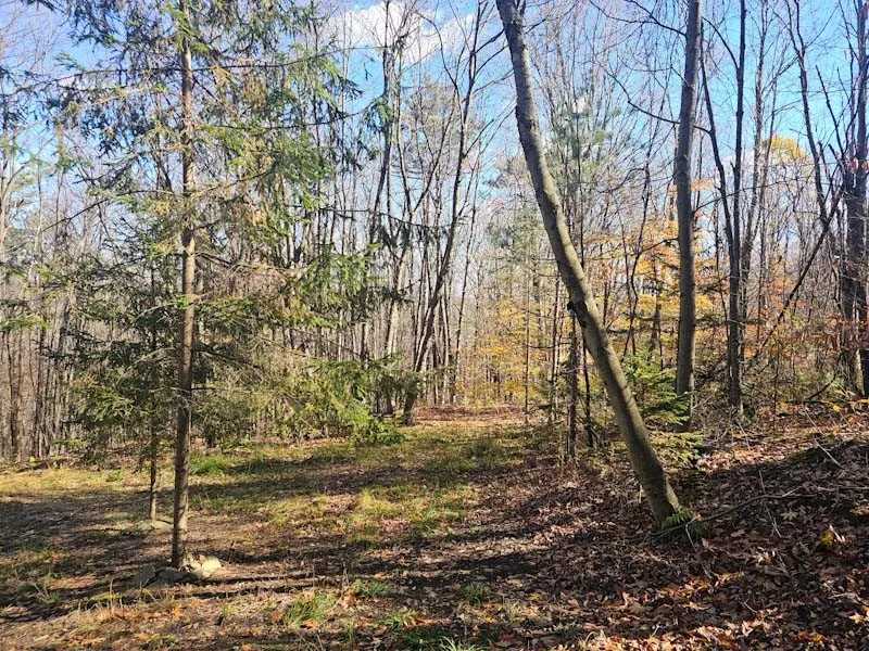 0 Thunder Mountain East, Springwater, New York 145, Springwater, New York 14560, ,Land,For Sale,0 Thunder Mountain East, Springwater, New York 145,0,R1648452