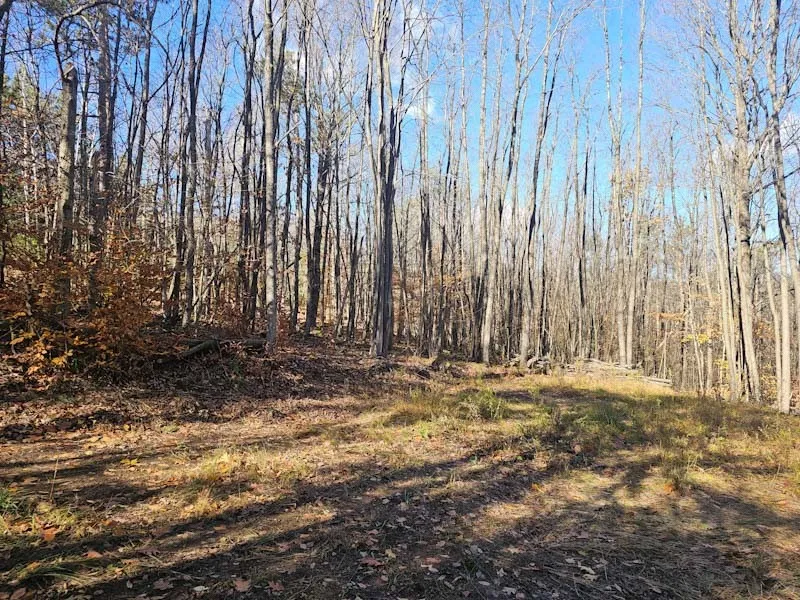 0 Thunder Mountain East, Springwater, New York 145, Springwater, New York 14560, ,Land,For Sale,0 Thunder Mountain East, Springwater, New York 145,0,R1648452