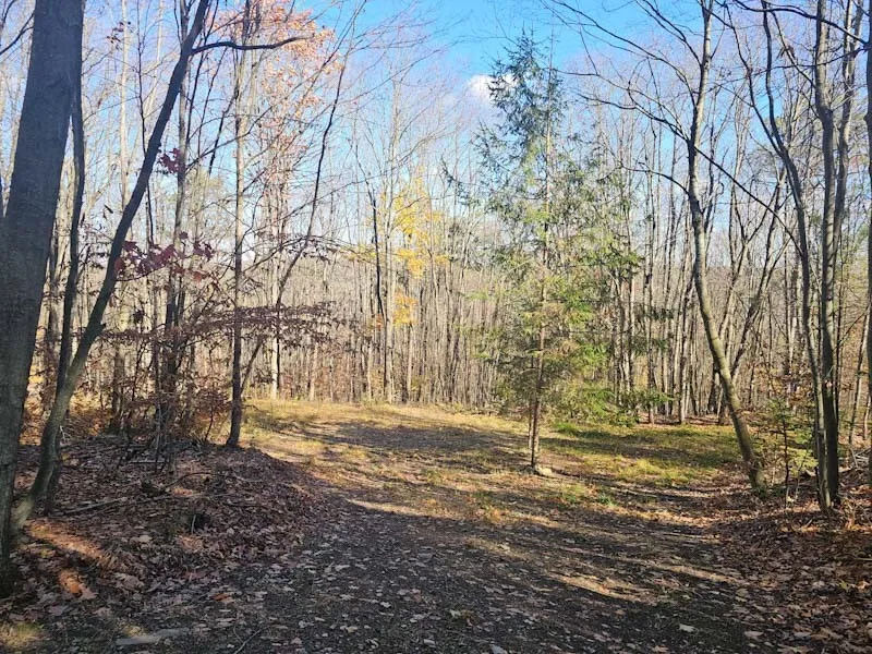 0 Thunder Mountain East, Springwater, New York 145, Springwater, New York 14560, ,Land,For Sale,0 Thunder Mountain East, Springwater, New York 145,0,R1648452