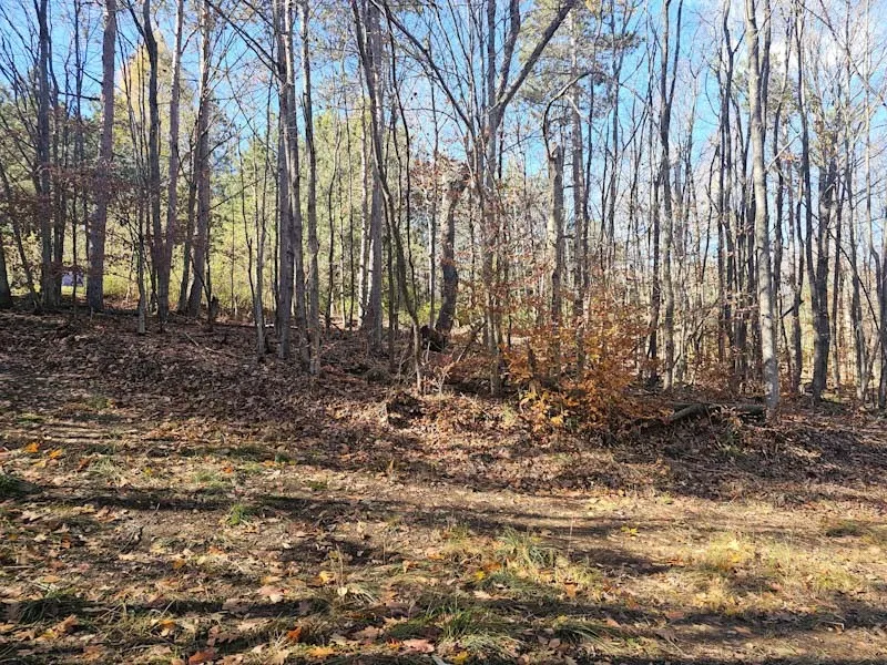 0 Thunder Mountain East, Springwater, New York 145, Springwater, New York 14560, ,Land,For Sale,0 Thunder Mountain East, Springwater, New York 145,0,R1648452