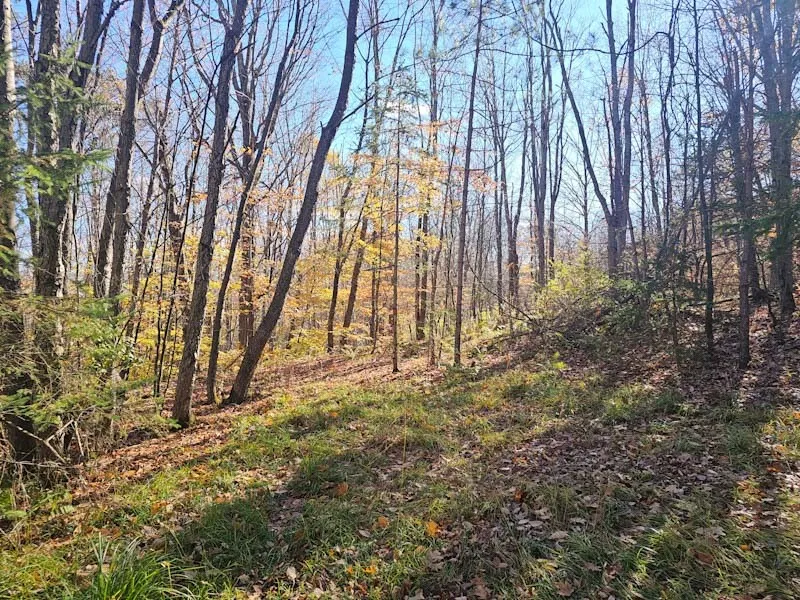 0 Thunder Mountain East, Springwater, New York 145, Springwater, New York 14560, ,Land,For Sale,0 Thunder Mountain East, Springwater, New York 145,0,R1648452