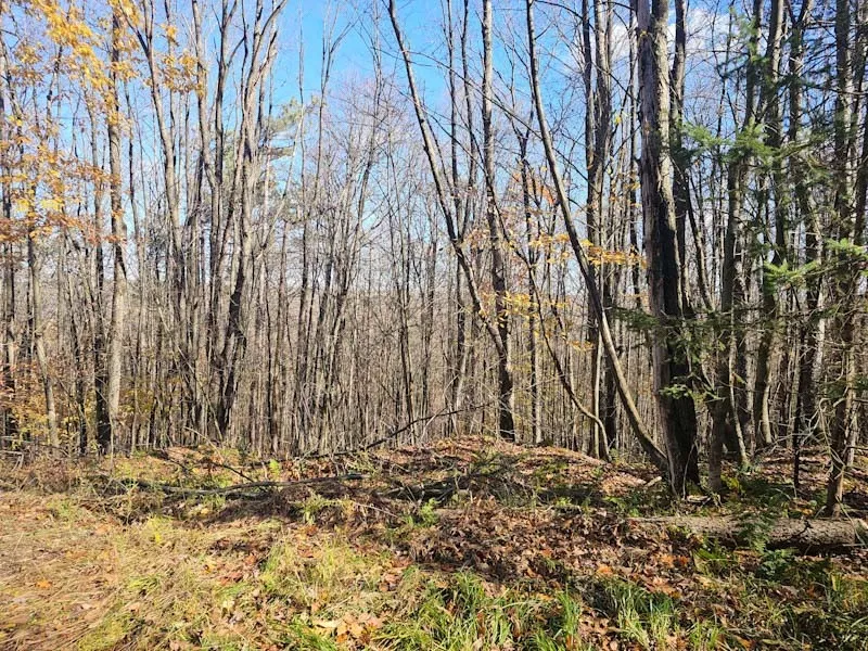 0 Thunder Mountain East, Springwater, New York 145, Springwater, New York 14560, ,Land,For Sale,0 Thunder Mountain East, Springwater, New York 145,0,R1648452