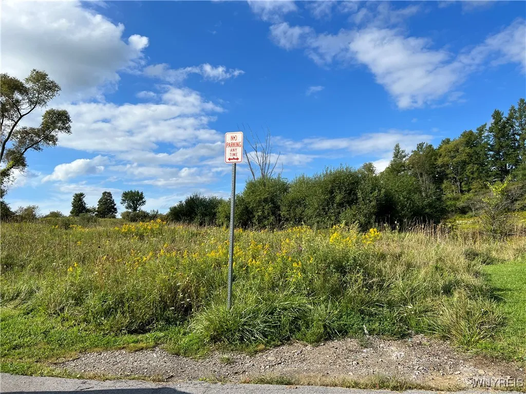 North Street, Arcade, New York 14009, Arcade, New York 14009, ,Land,For Sale,North Street, Arcade, New York 14009,0,B1649159