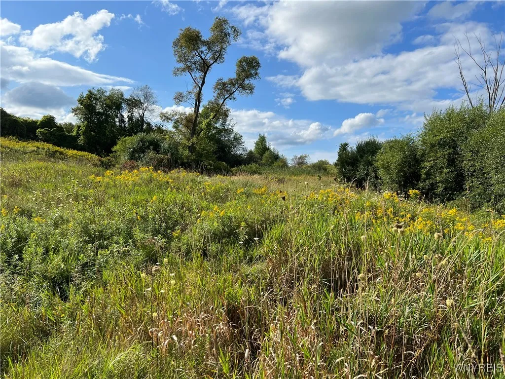 North Street, Arcade, New York 14009, Arcade, New York 14009, ,Land,For Sale,North Street, Arcade, New York 14009,0,B1649159