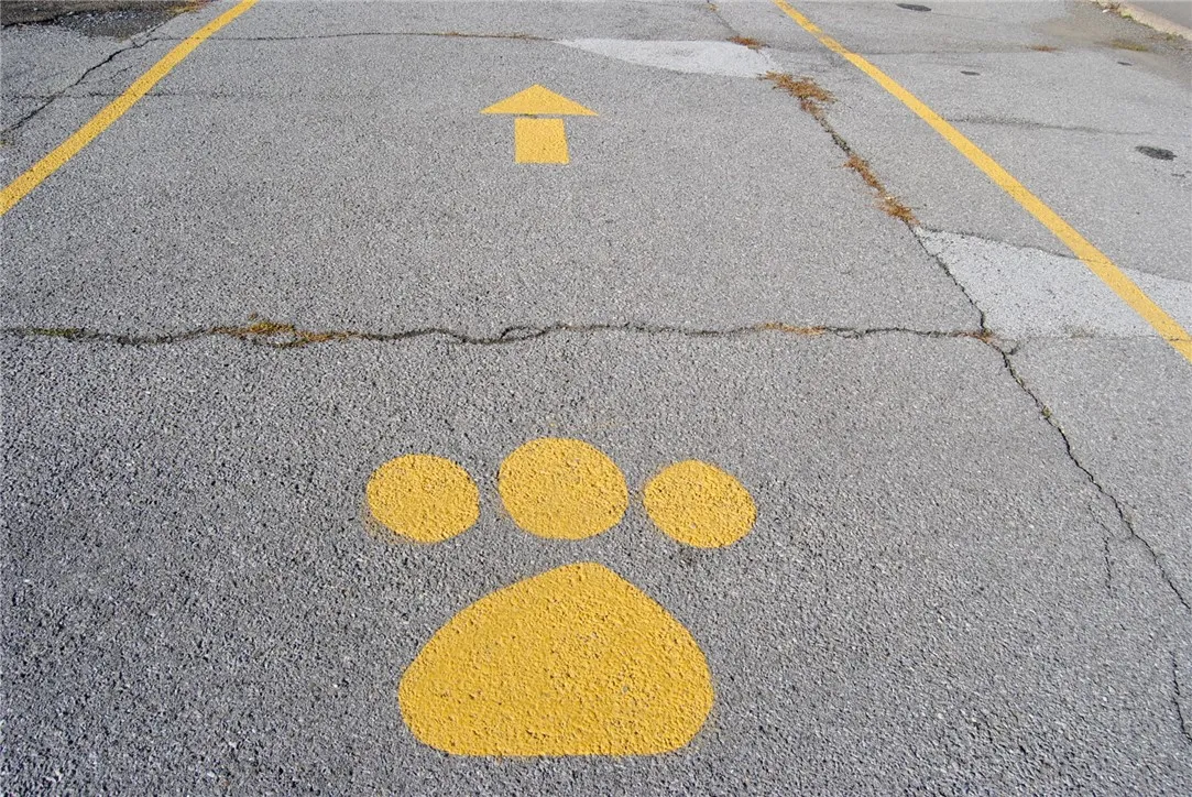 159 North Fraley Street, Kane Boro, Pennsylvania 1, Kane Boro, Pennsylvania 16735, ,Commercial Sale,For Sale,159 North Fraley Street, Kane Boro, Pennsylvania 1,0,R1648838