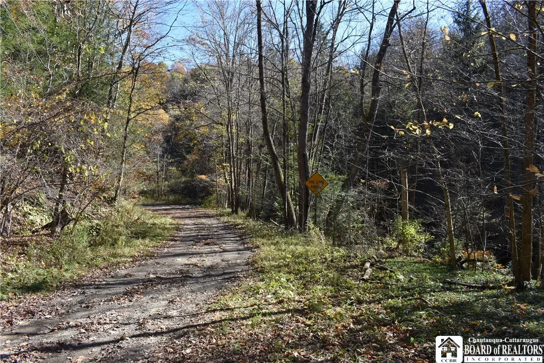3157 Ball Road Gulf, Arkwright, New York 14063, Arkwright, New York 14063, ,Land,For Sale,3157 Ball Road Gulf, Arkwright, New York 14063,0,R1649188