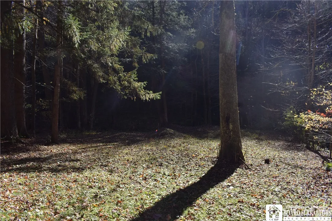 3157 Ball Road Gulf, Arkwright, New York 14063, Arkwright, New York 14063, ,Land,For Sale,3157 Ball Road Gulf, Arkwright, New York 14063,0,R1649188