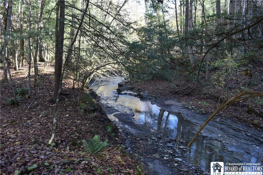 3157 Ball Road Gulf, Arkwright, New York 14063, Arkwright, New York 14063, ,Land,For Sale,3157 Ball Road Gulf, Arkwright, New York 14063,0,R1649188