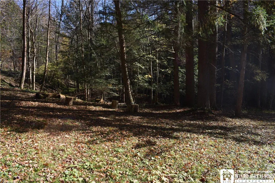 3157 Ball Road Gulf, Arkwright, New York 14063, Arkwright, New York 14063, ,Land,For Sale,3157 Ball Road Gulf, Arkwright, New York 14063,0,R1649188