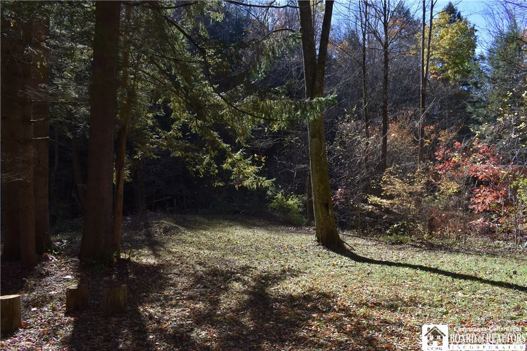 3157 Ball Road Gulf, Arkwright, New York 14063, Arkwright, New York 14063, ,Land,For Sale,3157 Ball Road Gulf, Arkwright, New York 14063,0,R1649188