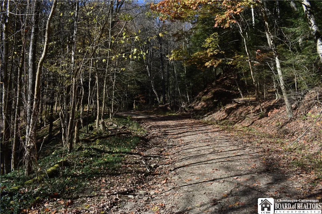 3157 Ball Road Gulf, Arkwright, New York 14063, Arkwright, New York 14063, ,Land,For Sale,3157 Ball Road Gulf, Arkwright, New York 14063,0,R1649188