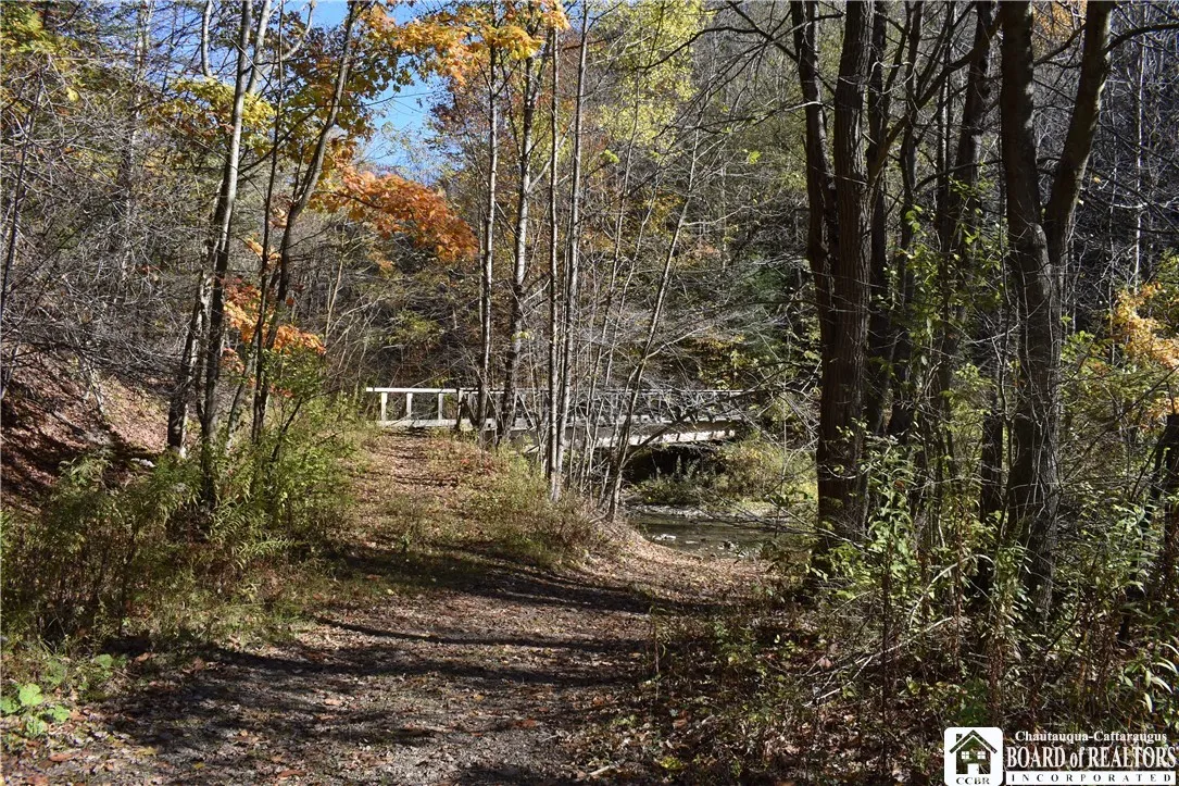 3157 Ball Road Gulf, Arkwright, New York 14063, Arkwright, New York 14063, ,Land,For Sale,3157 Ball Road Gulf, Arkwright, New York 14063,0,R1649188