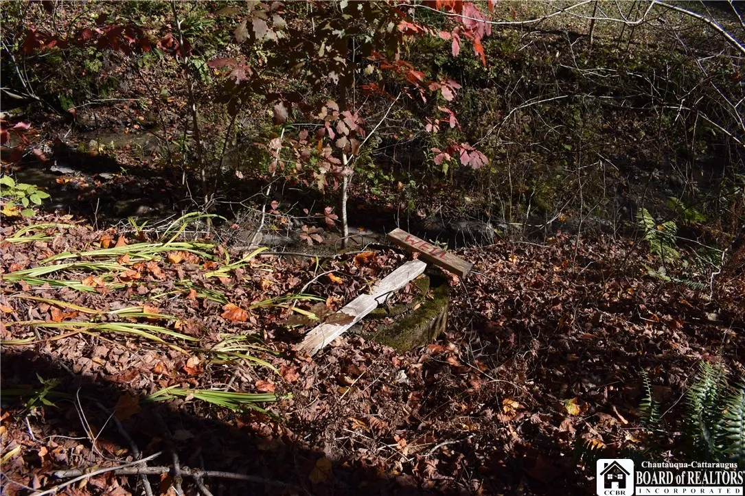 3157 Ball Road Gulf, Arkwright, New York 14063, Arkwright, New York 14063, ,Land,For Sale,3157 Ball Road Gulf, Arkwright, New York 14063,0,R1649188