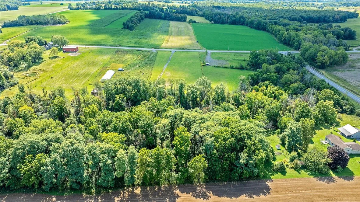 County Road 4, Hopewell, New York 14432, Hopewell, New York 14432, ,Land,For Sale,County Road 4, Hopewell, New York 14432,0,R1649186