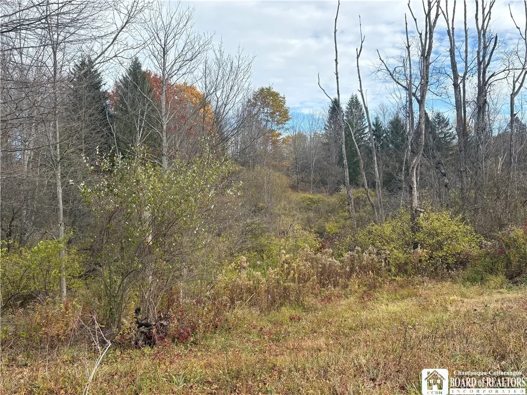 13 Fox Road, East Otto, New York 14729, East Otto, New York 14729, 2 Bedrooms Bedrooms, 4 Rooms Rooms,1 BathroomBathrooms,Residential,Closed,13 Fox Road, East Otto, New York 14729,0,R1649000