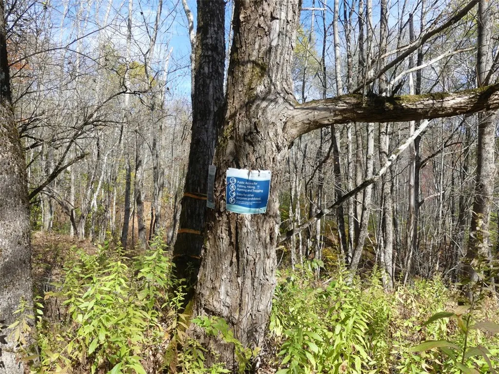 606 Bussey Hollow Road, Andes, New York 13731, Andes, New York 13731, 4 Bedrooms Bedrooms, 10 Rooms Rooms,2 BathroomsBathrooms,Residential,For Sale,606 Bussey Hollow Road, Andes, New York 13731,0,R1649309