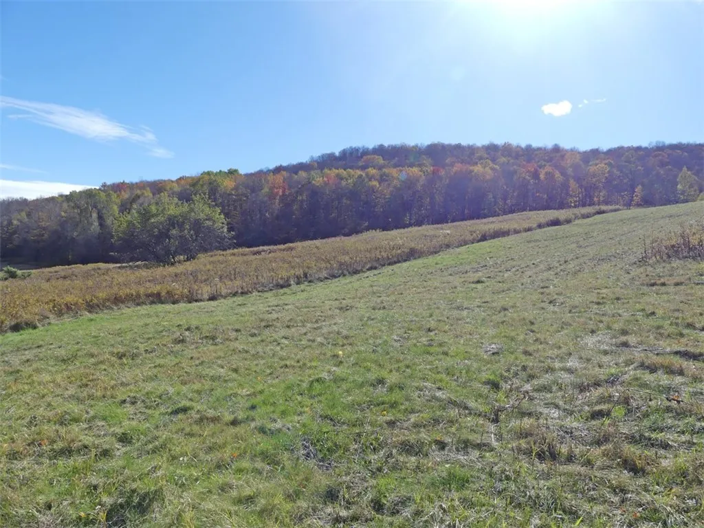 606 Bussey Hollow Road, Andes, New York 13731, Andes, New York 13731, 4 Bedrooms Bedrooms, 10 Rooms Rooms,2 BathroomsBathrooms,Residential,For Sale,606 Bussey Hollow Road, Andes, New York 13731,0,R1649309