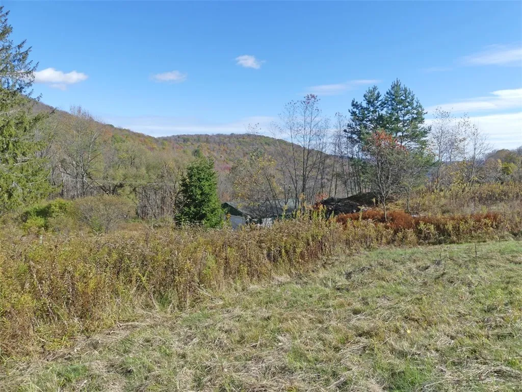606 Bussey Hollow Road, Andes, New York 13731, Andes, New York 13731, 4 Bedrooms Bedrooms, 10 Rooms Rooms,2 BathroomsBathrooms,Residential,For Sale,606 Bussey Hollow Road, Andes, New York 13731,0,R1649309
