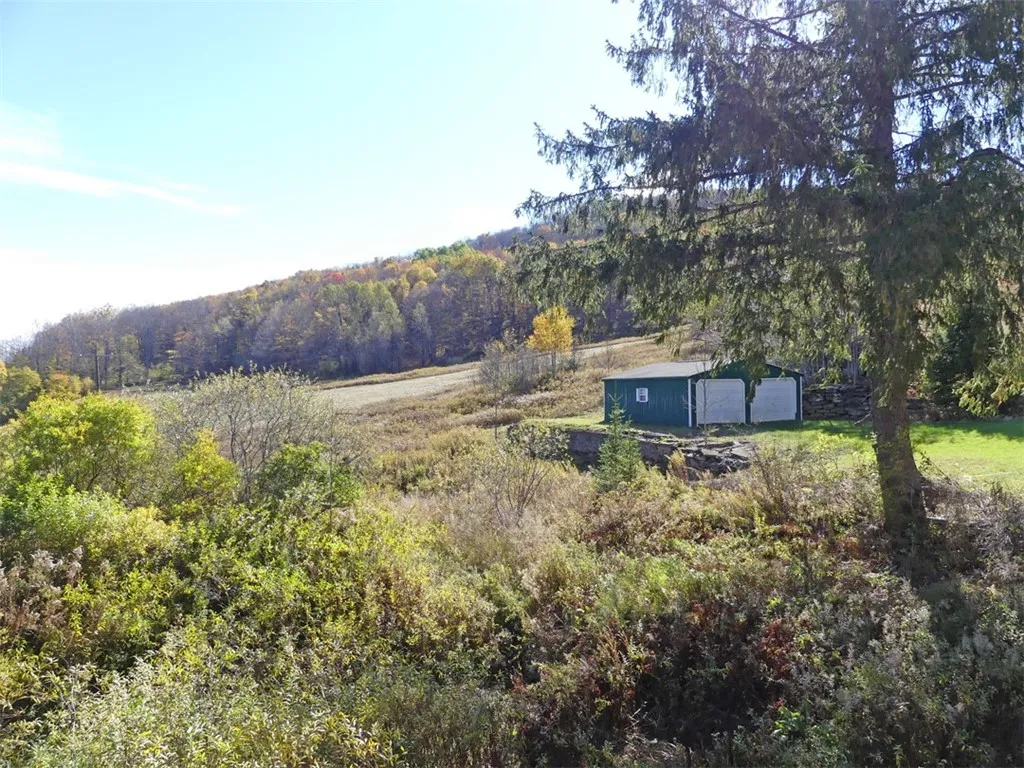 606 Bussey Hollow Road, Andes, New York 13731, Andes, New York 13731, 4 Bedrooms Bedrooms, 10 Rooms Rooms,2 BathroomsBathrooms,Residential,For Sale,606 Bussey Hollow Road, Andes, New York 13731,0,R1649309