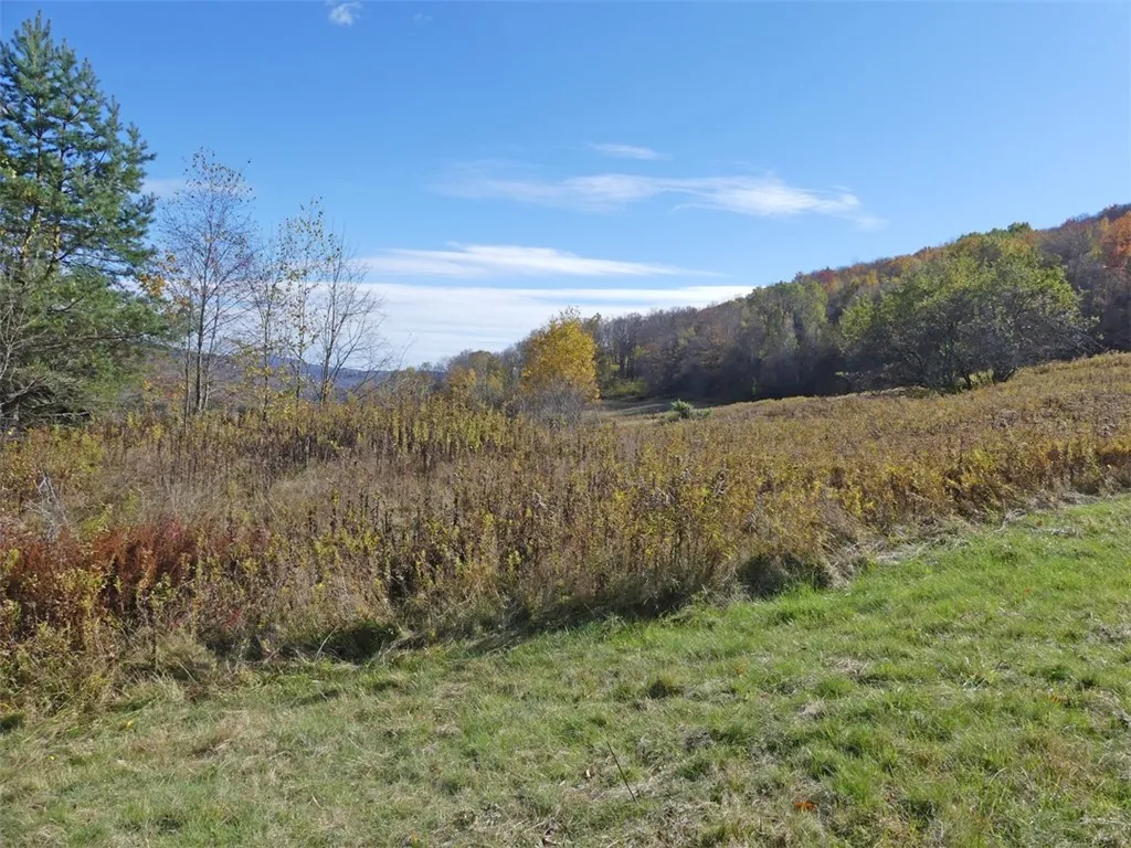 606 Bussey Hollow Road, Andes, New York 13731, Andes, New York 13731, 4 Bedrooms Bedrooms, 10 Rooms Rooms,2 BathroomsBathrooms,Residential,For Sale,606 Bussey Hollow Road, Andes, New York 13731,0,R1649309