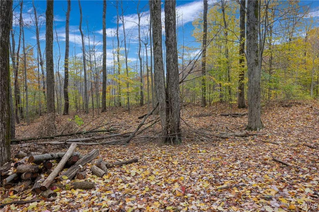 Calemad Drive, Sennett, New York 13021, Sennett, New York 13021, ,Land,For Sale,Calemad Drive, Sennett, New York 13021,0,S1649019