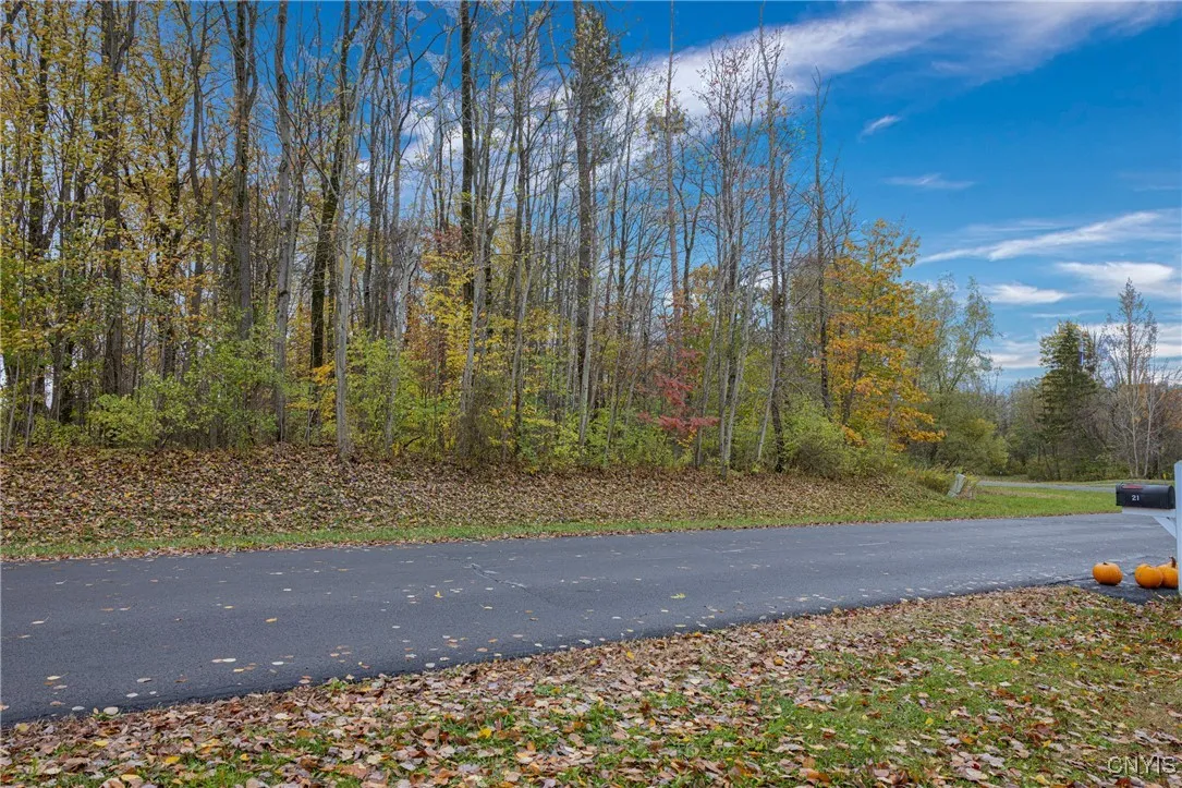 Calemad Drive, Sennett, New York 13021, Sennett, New York 13021, ,Land,For Sale,Calemad Drive, Sennett, New York 13021,0,S1649019