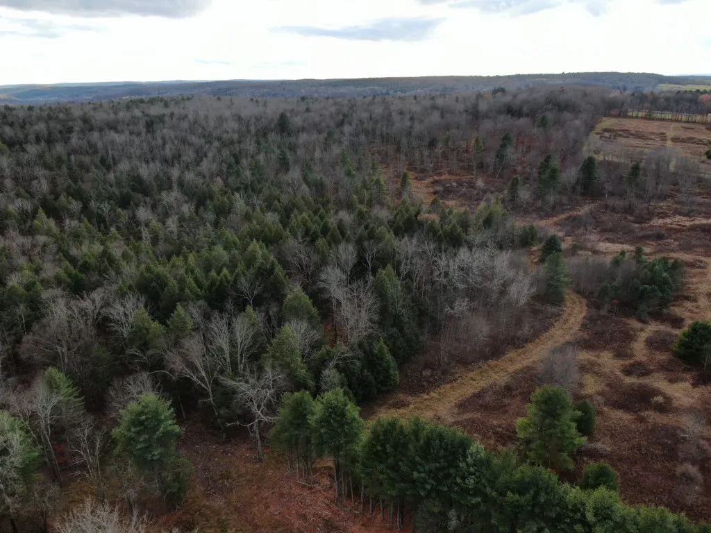 140 Round Pond Road, Smithville, New York 13841, Smithville, New York 13841, 3 Bedrooms Bedrooms, 7 Rooms Rooms,2 BathroomsBathrooms,Residential,For Sale,140 Round Pond Road, Smithville, New York 13841,0,R1647344