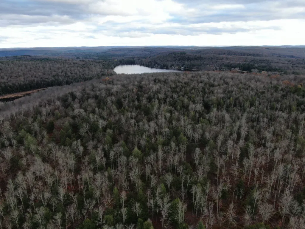 140 Round Pond Road, Smithville, New York 13841, Smithville, New York 13841, 3 Bedrooms Bedrooms, 7 Rooms Rooms,2 BathroomsBathrooms,Residential,For Sale,140 Round Pond Road, Smithville, New York 13841,0,R1647344