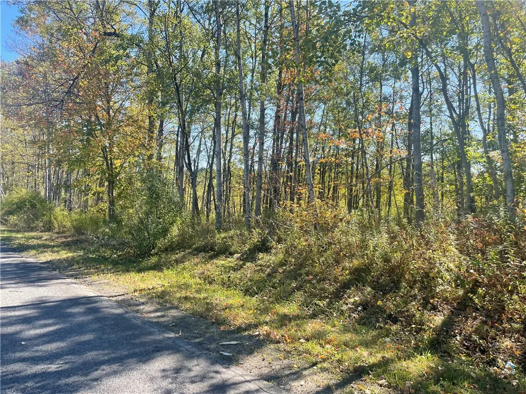 140 Round Pond Road, Smithville, New York 13841, Smithville, New York 13841, 3 Bedrooms Bedrooms, 7 Rooms Rooms,2 BathroomsBathrooms,Residential,For Sale,140 Round Pond Road, Smithville, New York 13841,0,R1647344