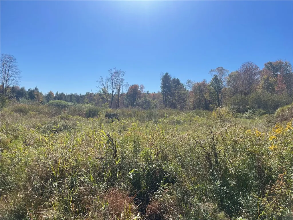 140 Round Pond Road, Smithville, New York 13841, Smithville, New York 13841, 3 Bedrooms Bedrooms, 7 Rooms Rooms,2 BathroomsBathrooms,Residential,For Sale,140 Round Pond Road, Smithville, New York 13841,0,R1647344